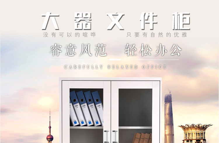 深圳興百勝文件柜廠家大器械鋼制文件柜