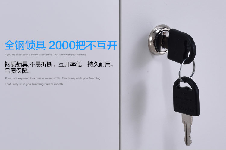 通雙節(jié)薄邊文件柜，興百勝文件柜廠家