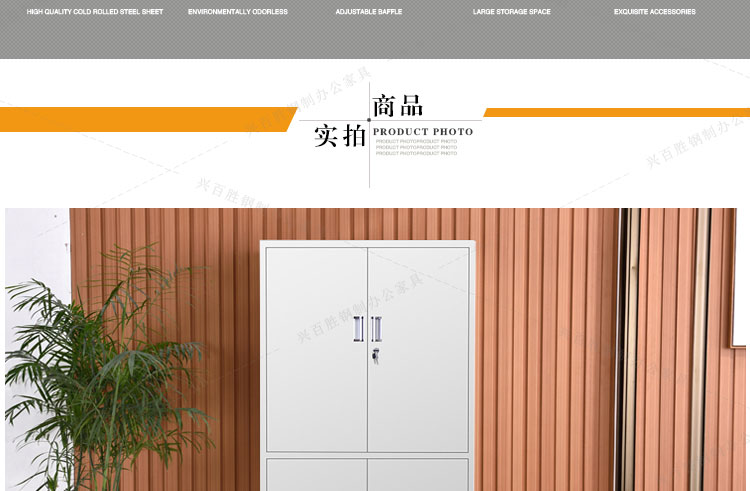 通雙節(jié)鋼制鐵皮文件柜,通雙節(jié)鋼制文件柜,通雙節(jié)鐵皮文件柜,通雙節(jié)文件柜