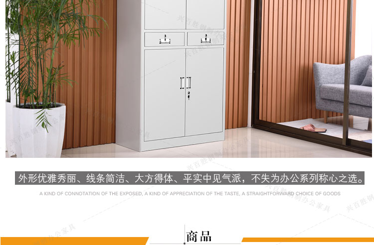 鐵二斗鋼制鐵皮文件柜,鐵二斗鋼制文件柜,鐵二斗鐵皮文件柜,鐵二斗文件柜，文件柜廠家