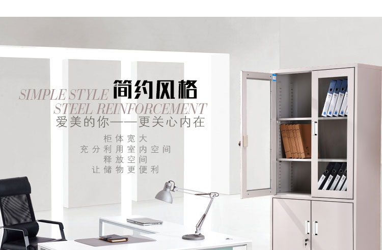 深圳大器械文件柜，深圳興百勝文件柜廠家