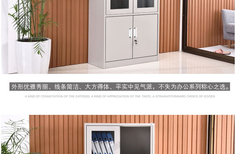 深圳大器械文件柜，深圳興百勝文件柜廠家