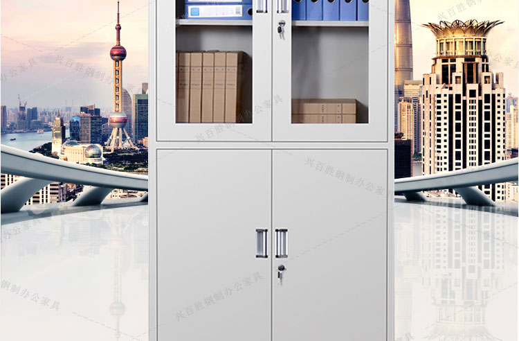 深圳等器械鋼制辦公文件柜，深圳興百勝文件柜生產(chǎn)廠家