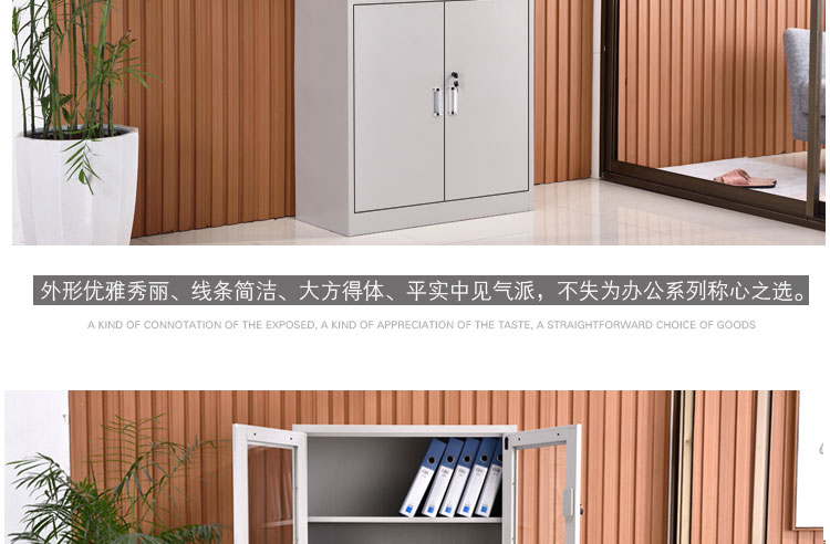 深圳中二抽文件柜，深圳文件柜廠家興百勝